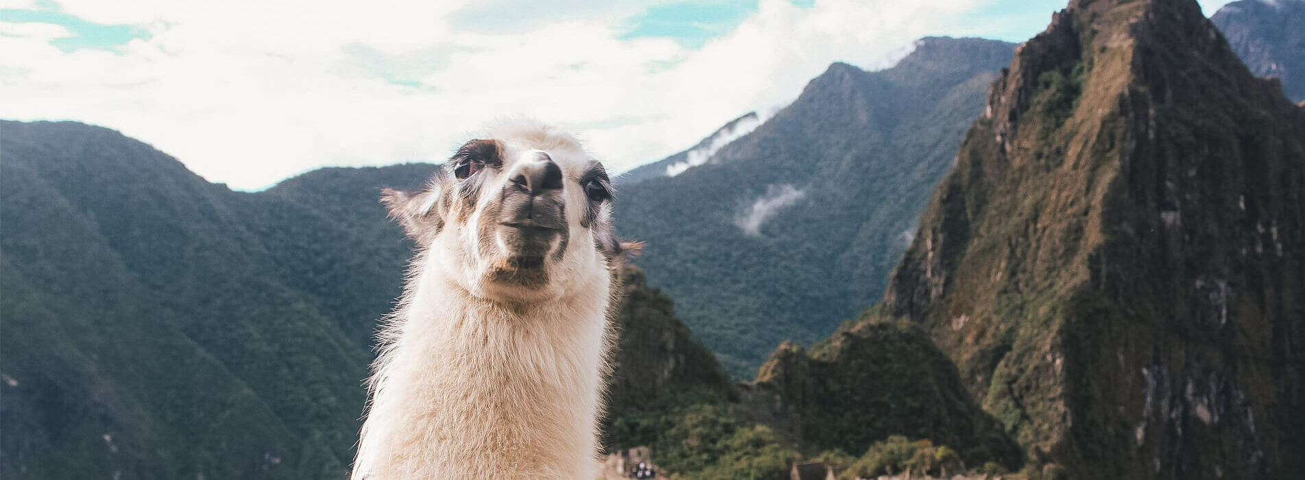 Machu Picchu with Earth's Edge 1