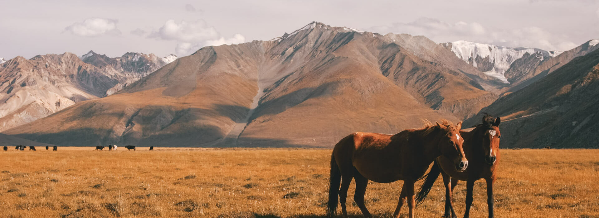 Ladakh Tri Adventure Earth's Edge