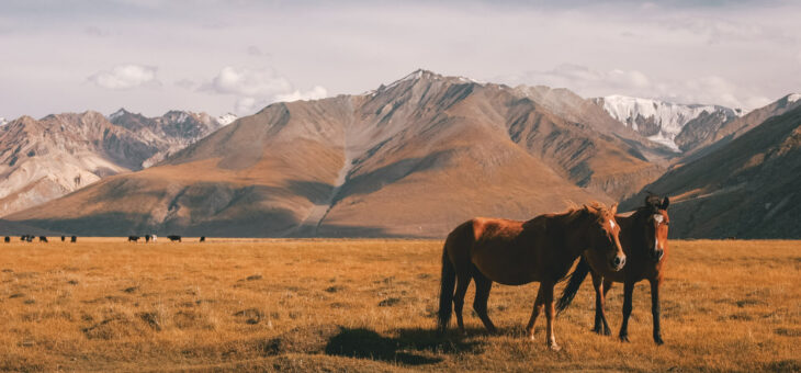 Ladakh Tri Adventure Earth's Edge